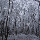 대관령가는길 이미지