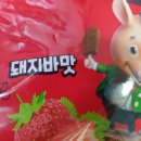 바나나돼지 티스토리