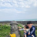 제주파인비치펜션 | 돌아기랑 제주도여행 1일차 제주항공지연 순풍해장국 제주파인비치펜션 표선해수욕장 고수목마식당