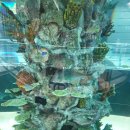 어린이뮤지컬 슈퍼윙스 이미지