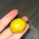 소희수산 | 시간은 앞으로만 가는 걸 어째