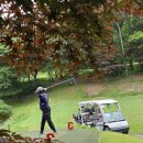 힐링스크린골프장 이미지