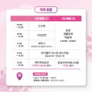 군청앞버스승강장 | [대구/봄축제]2026년 4월 비슬산 참꽃문화제 2026 총정리 일정 초대가수 주차 셔틀버스 등산코스 맛집까지