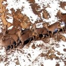 새말목장 이미지