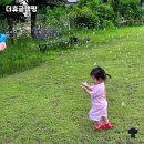 양평농협 옥천주유소 | 양평 숨은 힐링 스팟, 가성비 최고 &#39;더휴글램핑&#39; 체험 후기 🌿