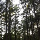 예미MTB마을호스텔 이미지