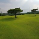 파스크린골프연습장 이미지