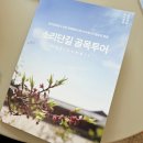 소답동118 | 창원 소답동 카페 소리단길 골목투어 세모로 축제 일정
