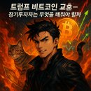 비트코인 | 트럼프 비트코인 교훈 실제 장기투자 후기
