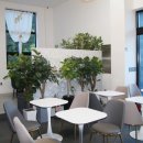 스토리펫 이미지