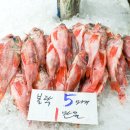 거제고현시장 이미지