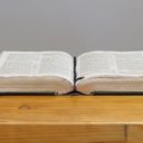 아이돌봄&놀이돌봄 양성과정 이미지