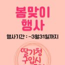 딸기씨네 수제청