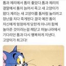 톰과 제리 이미지