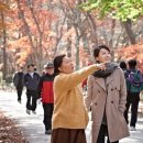 친정엄마 이미지