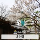 서울 매화 명소 운현궁 위치 산책 후기