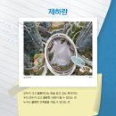 대원 건축사사무소 이미지
