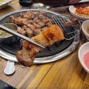 돼지30 이미지