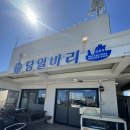[서귀포 횟집 당일바리강정호]도다리회 코스 가격,존맛 후기