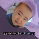 황정원미용실 | 9개월 육아일기(D+281~287) / 10kg 돌파, 이발, 백팩 뽐뿌, 3번째 대구주간
