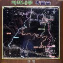 자작나무힐
