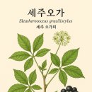 (주)오가 이미지