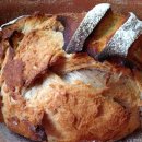 강아지 꼬순내 이미지