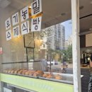 분당-298 | 유기농 수제식빵 빵집 후기 #동네치즈식빵 맛집