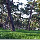 문장대 야영장 이미지