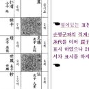 순평군파 합천 판도판서공파 후손 우징 발행 "병진보의 잘못된 기록과 오류" 이미지