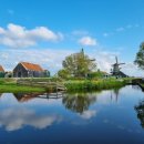 튤립공원 이미지