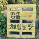덕승농장 네이버블로그