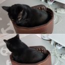 따시다