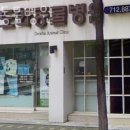 도화동물병원 네이버블로그