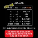 도일격투기 네이버블로그