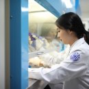 극동대학교 이미지