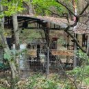 천보체육회 이미지