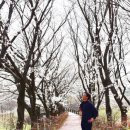 십이리체육공원 이미지