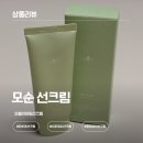오월에윤 | 민감피부에도 순하고 부드러운 오월의아침선크림 잘지워지는선크림 추천