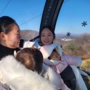 소노펠리체 비발디파크 이미지