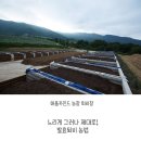농업회사법인 사랑농장 주식회사