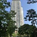별빛논현