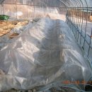 번암농장 이미지