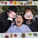 일성어린이집 이미지