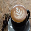 바리스타 이미지