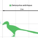 데이노니쿠스 이미지