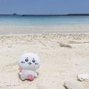 5월의 푸릇한 오키나와🌴🥒🍸를 추억하며