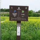 왕숙천둔치공원(토평교) 이미지