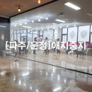 애지중지애견카페 이미지