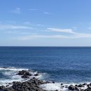 트레이닝팜트리 이미지